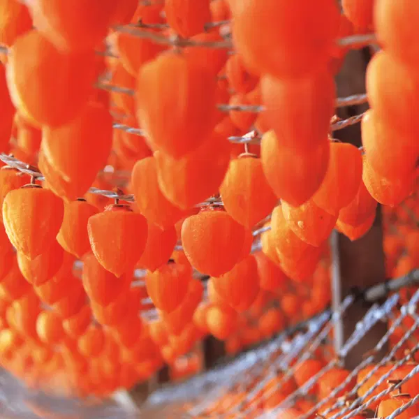 【予約販売のみ】〈ちょっとしたご褒美に、コクのある甘みを〉贈答用 伊達のあんぽ柿(蜂屋柿)9個|JAふくしま未来 宅配