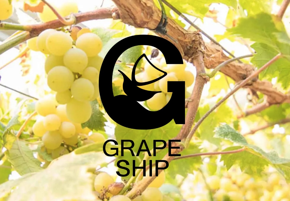 朱2025ロゼ「GRAPE SHIP」 宅配