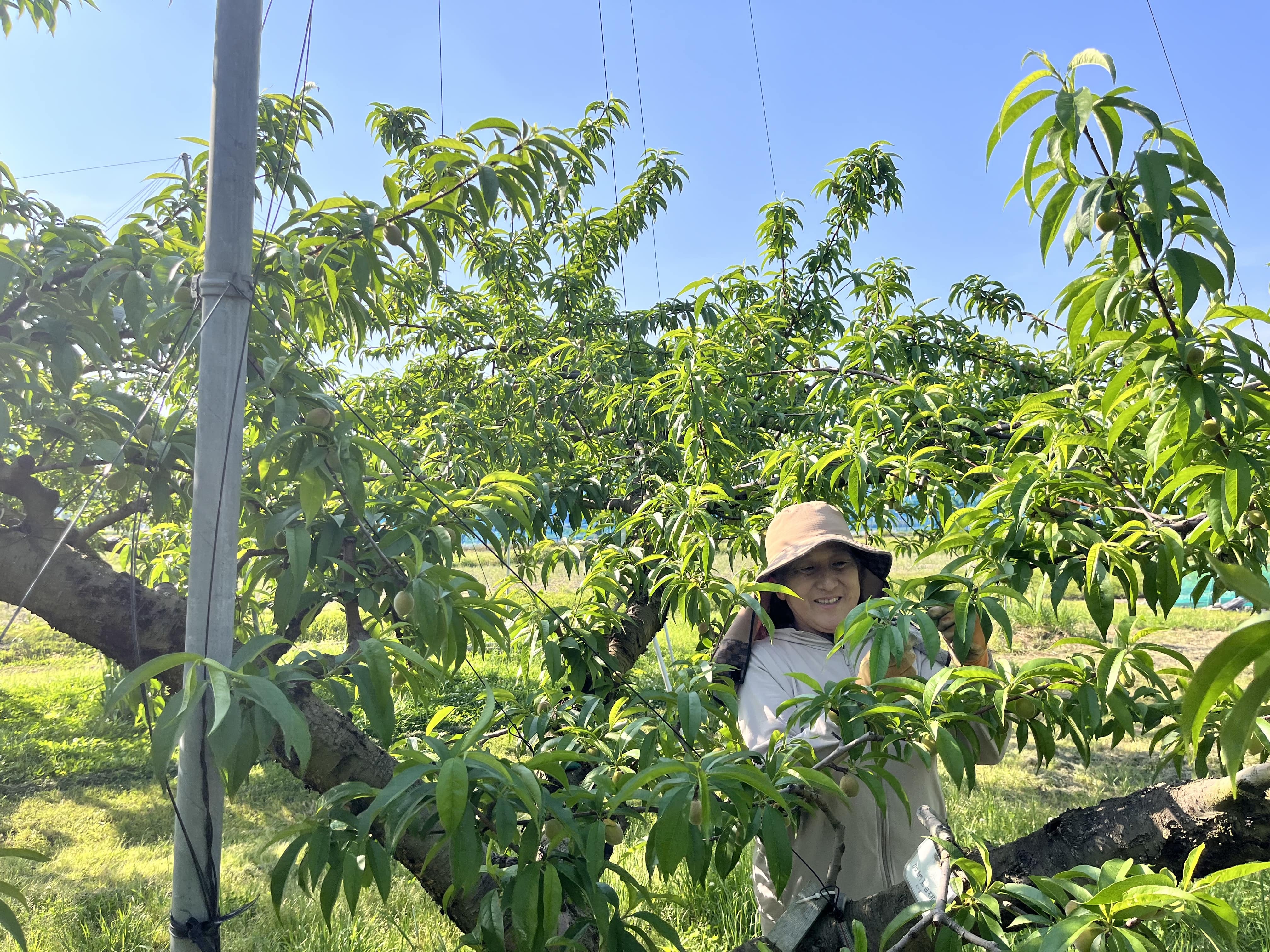 3代目の作業風景