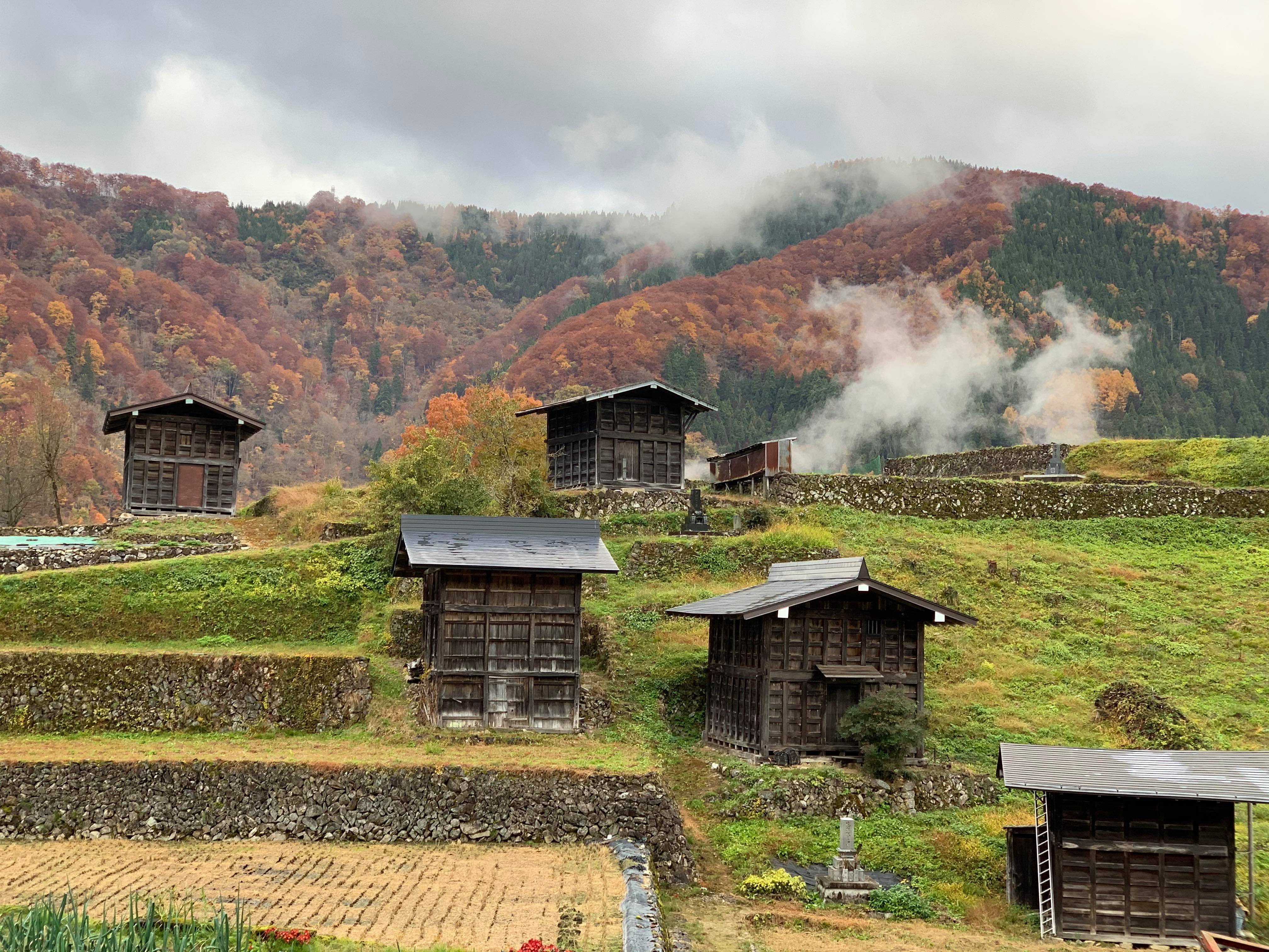 アメリカ便ご搭乗者さま限定!JAL和牛お土産サービス 飛騨牛A5(ロース) ブロック1.3kg 1.3kg