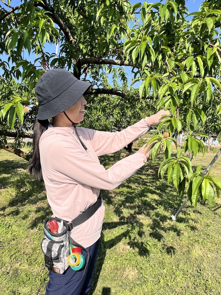 次期4代目の作業風景