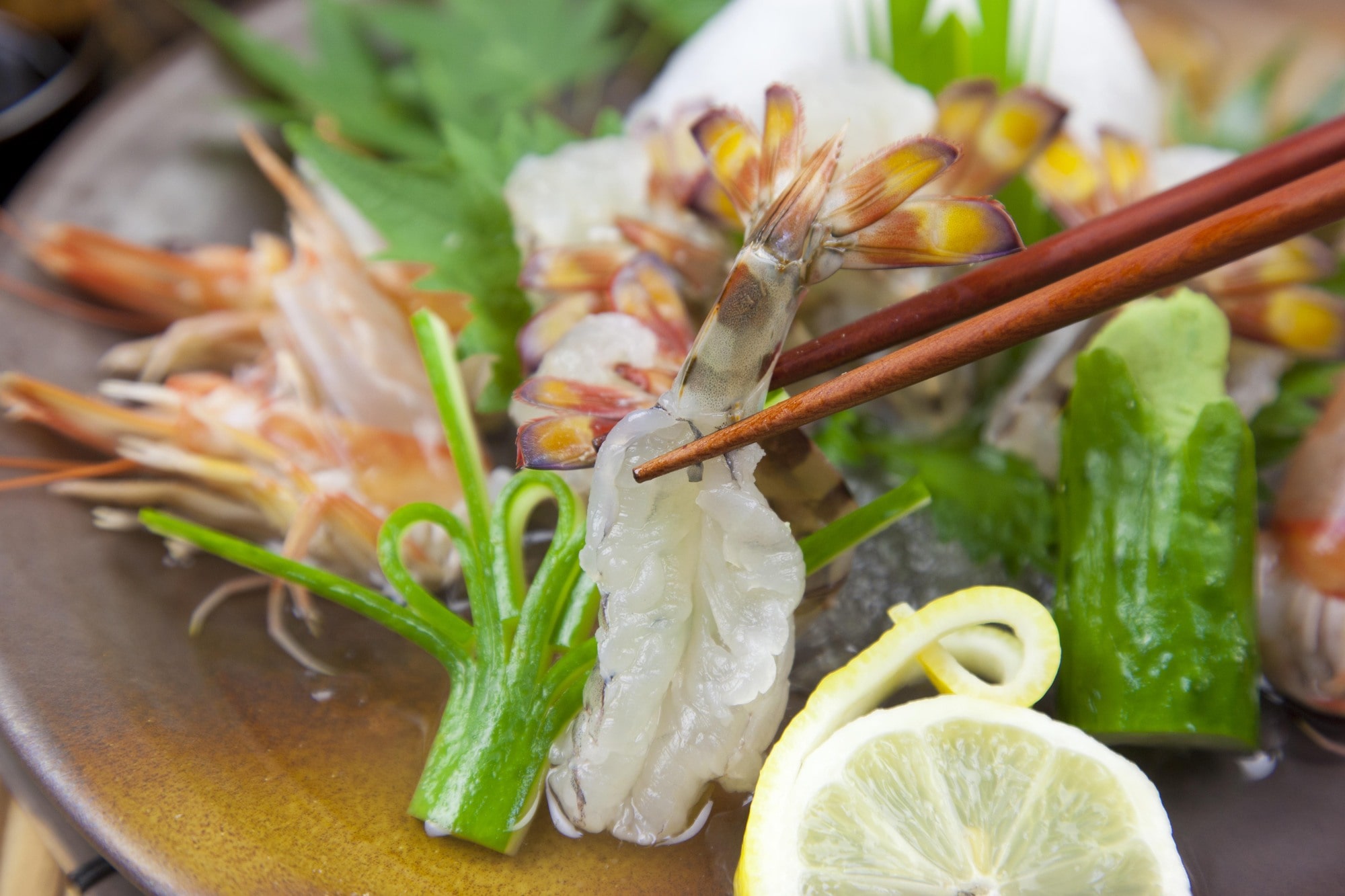 上天草ブランド認証品「旨甘 活車海老」約300g(9~14尾)〔株式会社フジオカ〕 宅配