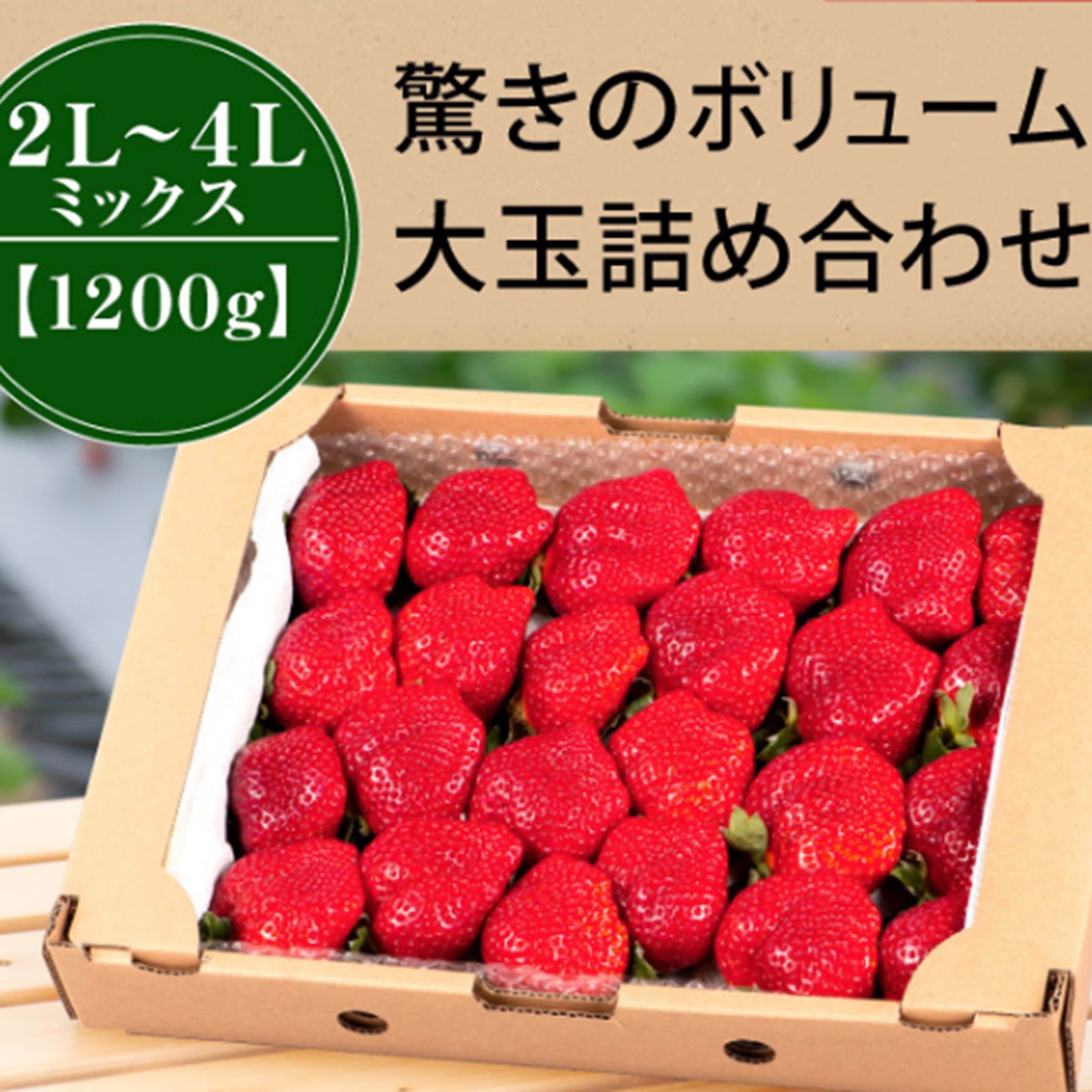 開けてびっくりの赤一面！ 完熟あまおう大玉詰め合わせ1200ｇ「楽農