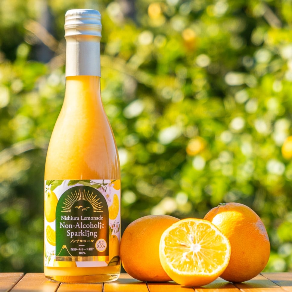 静岡県産西浦レモネードスパークリング ストレート果汁100%〔250ml×3本セット〕 かんきつ商社Aquamarine株式会社 宅配 3本セット