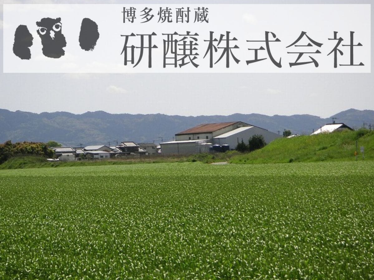 長期樽熟成麦焼酎 大刀の麦・煌 25度 900ml 2本セット「研醸株式会社 」 宅配