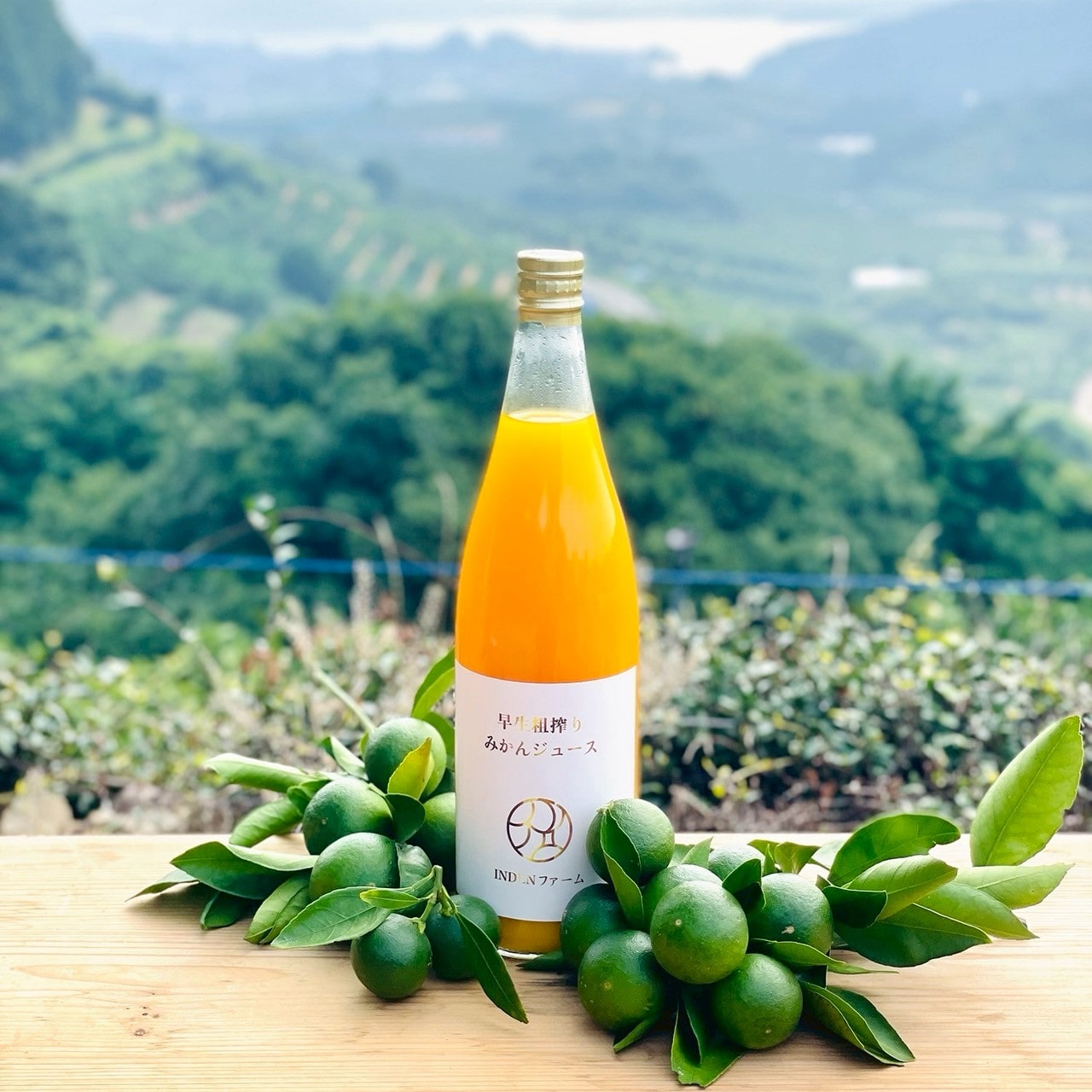 早採りフレッシュ早生 ストレートみかんジュース〔INDENファーム株式会社〕 宅配 1本