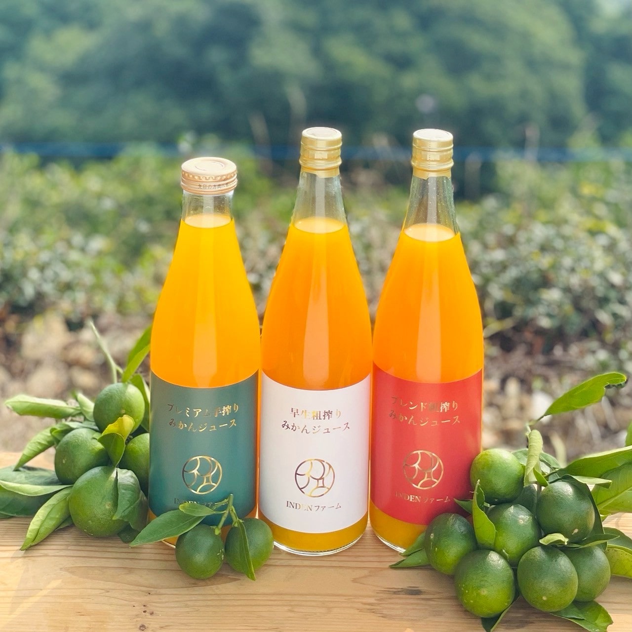 化学農薬不使用 ストレートみかんジュース3種類 3本セット〔INDENファーム株式会社〕 宅配