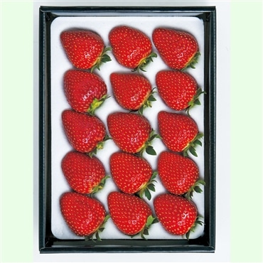 〔おいCベリー〕約400g 全国いちご選手権銀賞受賞！岡山県推奨ブランドいちご〔贈答用〕「美作農園」