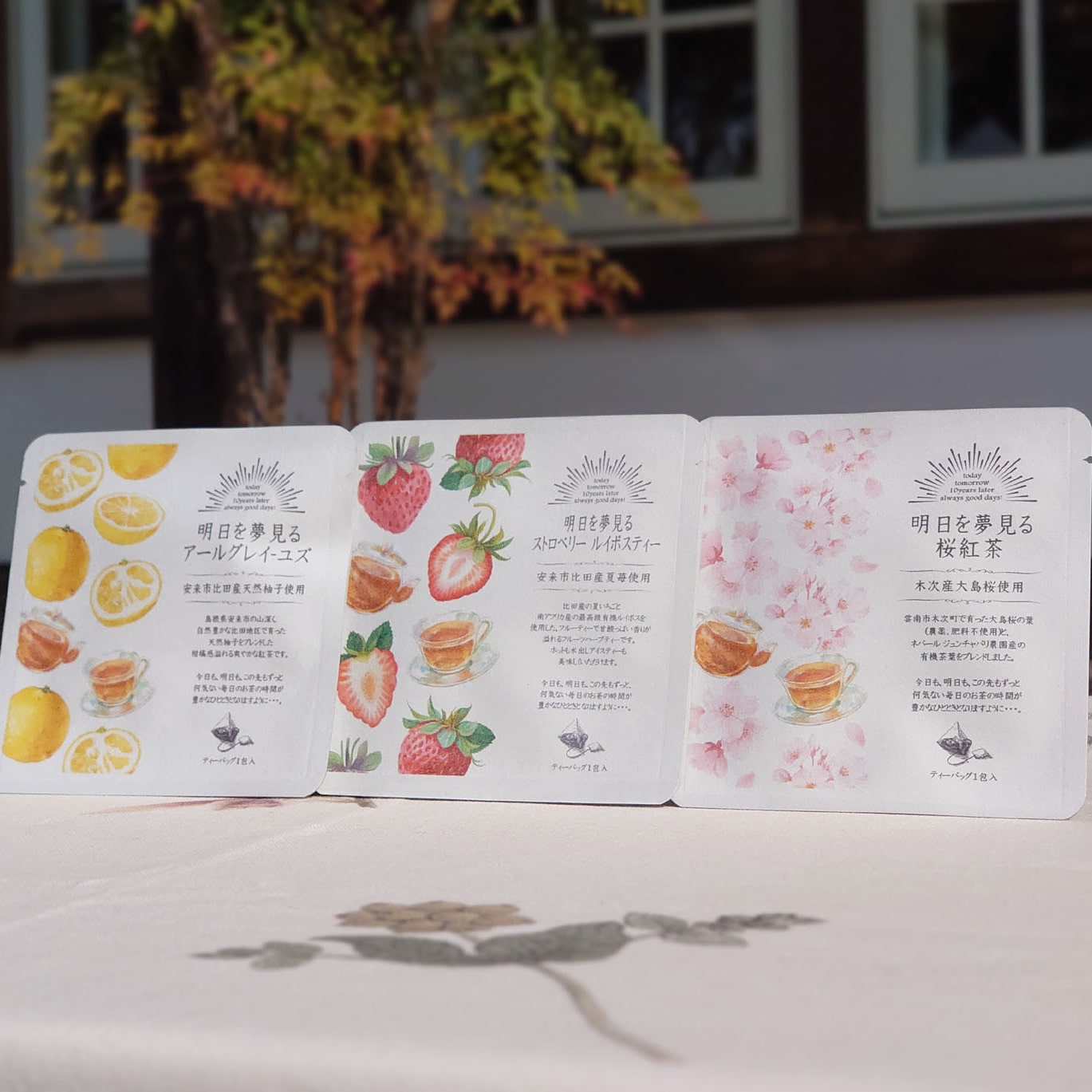 〔明日を夢見る紅茶たち〕ティーバッグ3種×2包 過疎地の明日を夢見て「紅茶専門店Pungency」ギフトにおすすめ