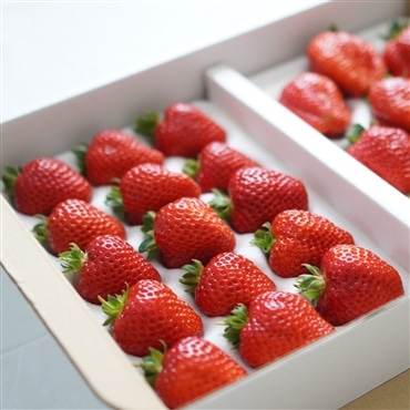 広島県三次市産〔完熟いちご〕詰め合わせ18～30個入り 完熟採れたて極上の甘さ！「大前農園」送料無料★空輸商品