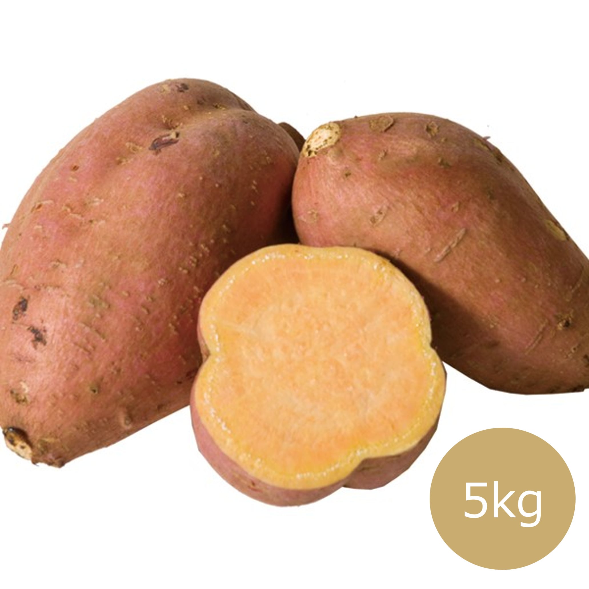 安納紅いも5kg 種子島産 ねっとり甘い！「株式会社うずえ屋」１０月下旬より順次発送！