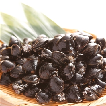 しじみ「舞音」特大 1kg「有限会社宍道湖」産直 産地直送 2025 海鮮 貝 しじみ 魚介 宍道湖産 ≪月曜日・火曜日のお届けは出来ません≫