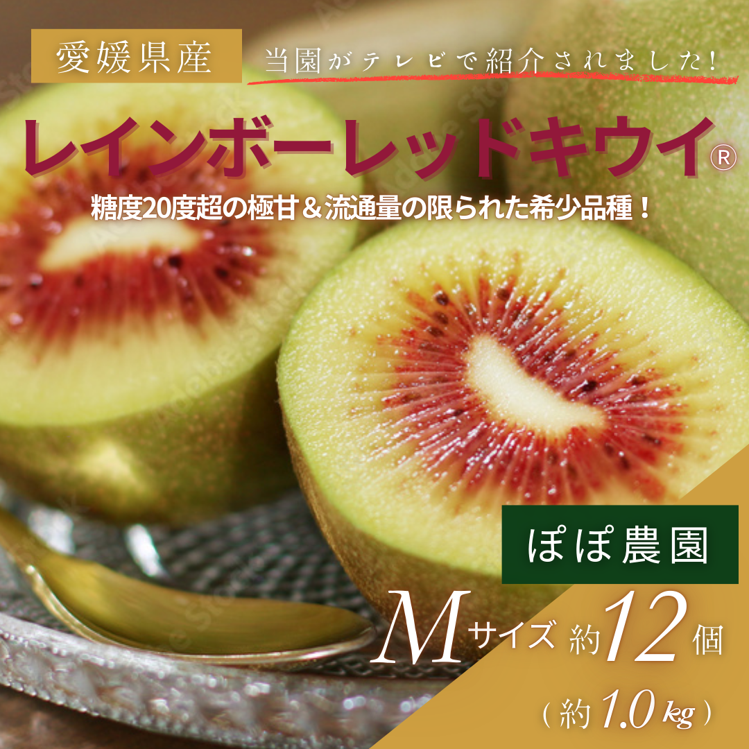 【完売】【予約販売】＜10月下旬以降順次発送＞Mサイズ約12個(約1.0Kg) レインボーレッドキウイ 産地直送！〔追熟なし〕「ぽぽ農園」
