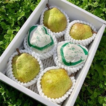 大玉ラ･フランス 2kg特秀 5から7玉入り〔ラフランス専業農家が贈る〕「なかむラ・フランスファーム」〔11月上旬～12月上旬発送〕産直 産地直送 2025 果物 フルーツ なし ラフランス 洋梨