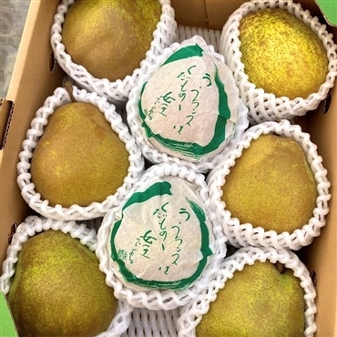 大玉ラ・フランス 3kg特秀 7から8玉入り〔ラフランス専業農家が贈る〕11月上旬~12月上旬発送「なかむラ・フランスファーム」産直 産地直送 2025 果物 フルーツ なし 洋梨