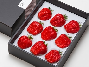 〔特大〕幻のいちご・煌稀〔きらめき〕の果実〔1月中下旬~2月下旬発送〕「森強の苺農園」