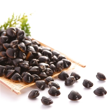 「舞音」Lサイズ たっぷり3kg 宍道湖産 しじみ≪月曜日・火曜日のお届けは出来ません≫「有限会社宍道湖」産直 産地直送 2025 海鮮 貝 しじみ 魚介