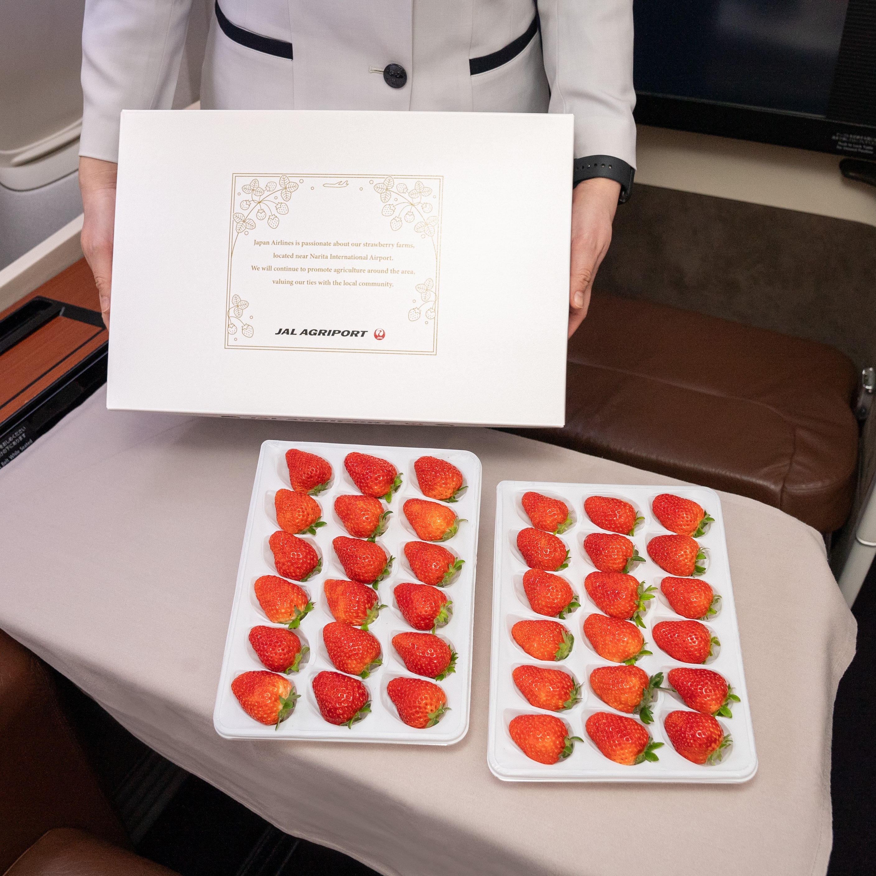 1箱2パック「JAL Agriportのいちご」JALの直営農園からお届け ファーストクラス採用「JAL Agriport」送料無料