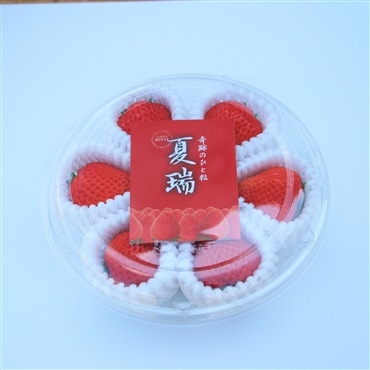 夏瑞ロイヤル（6粒入り２パック)「株式会社ホーブ」限定・先行予約開始！奇跡の夏イチゴ　＜6月中旬から発送＞