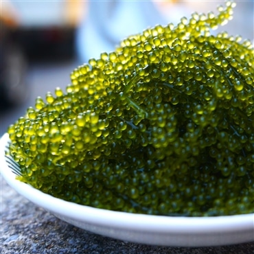 朝摘み海ぶどう 久米島産 200ｇ5パック（専用たれ付き）大容量5パック！極上のぷちぷち食感！特選生。「みき屋」