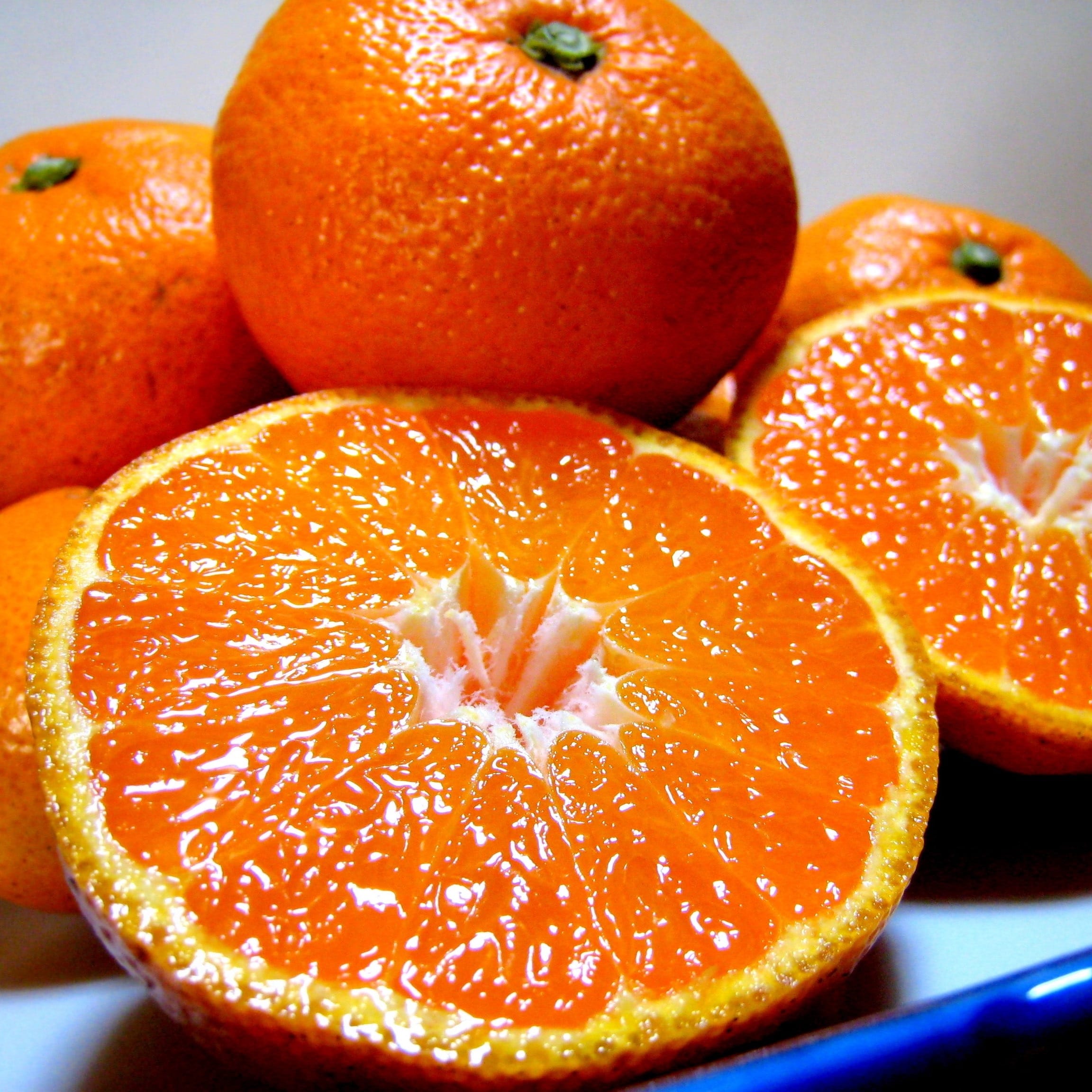 熊本県産完熟温州みかん7kg〔25年10月予約商品！〕美味しさを追求！大人気！「右田柑橘」産直 産地直送 2025 果物 フルーツ みかん 甘い