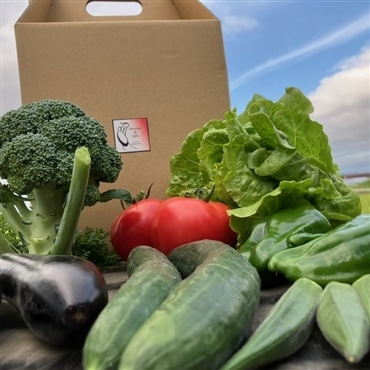 採れたて野菜の〔産地超直送BOX〕《数量限定「お届け日当日の朝採れ野菜を空輸でお届け》「Sarorun de Gifts」〔送料無料〕★空輸商品