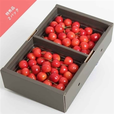 S-1さくらんぼ佐藤錦/特秀品 L 300g×2パック  農林水産大臣賞受賞！ 6月中旬から発送「アンスリーファーム」