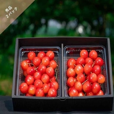 S-2さくらんぼ佐藤錦/秀品 L 300g×2パック 農林水産大臣賞受賞！6月中旬から発送「アンスリーファーム」