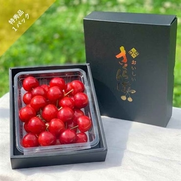 S-3さくらんぼ佐藤錦/特秀品 L 300g×1パック 農林水産大臣賞受賞！6月中旬から発送「アンスリーファーム」