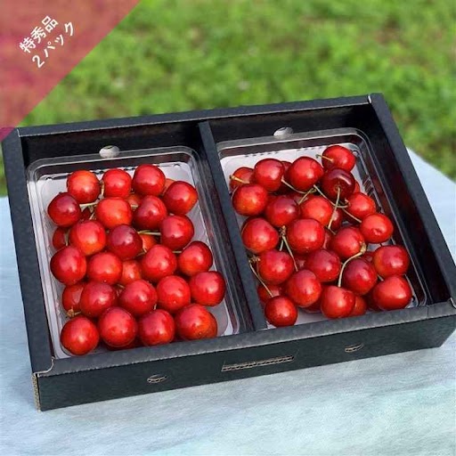 B-5 紅秀峰/特秀品 L 300g×2パック さくらんぼ 希少！農林水産大臣賞受賞 <6月下旬/7月上旬より発送>「アンスリーファーム」 送料無料