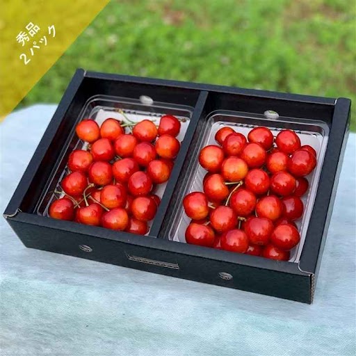B-6 紅秀峰/秀品 L 300g×2パック さくらんぼ 希少！ 農林水産大臣賞受賞 6月下旬/7月上旬より発送「アンスリーファーム」送料無料
