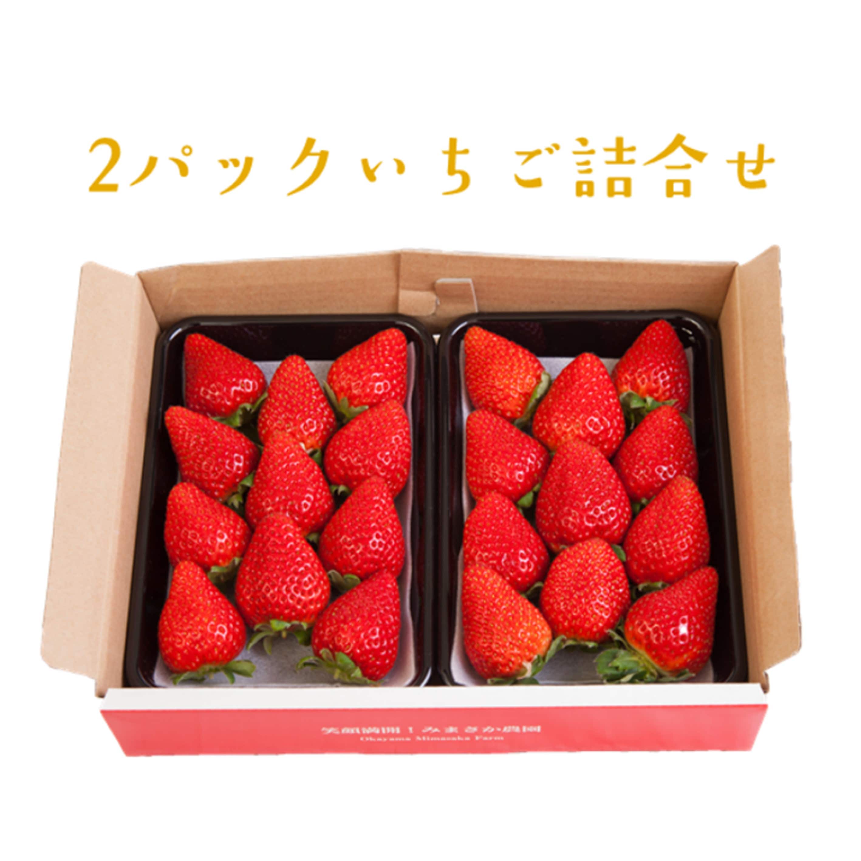 岡山県産美作苺2パック詰合せ〔540g〕2024年いちご選手権銀賞受賞！去年4000件も売れた！大人気「有限会社美作農園」送料無料