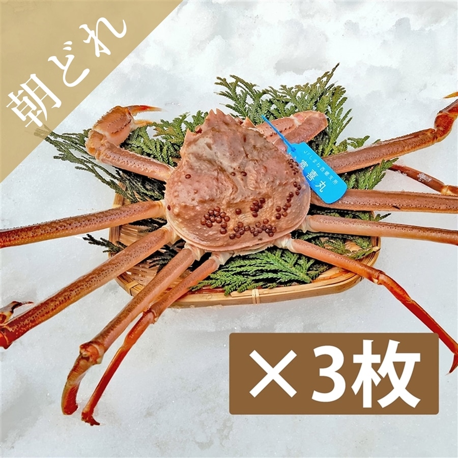 約2㎏隠岐生松葉ガニ（超一級品3枚入りタグ付）カニの旬は今だけ！隠岐の島の宝物★「海士物産」送料無料
