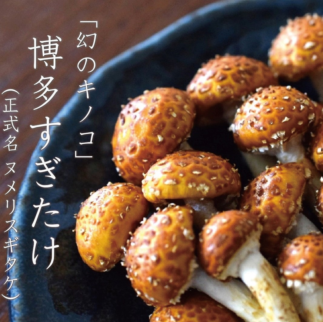 希少品種！独特の旨味と食感　生鮮〔博多すぎたけ〕80ｇ×5パックセット「農事組合法人ドリームマッシュ」