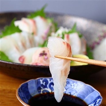 三重県南伊勢ブランド鯛 1ｰ1.2kg 「あなたに逢い鯛。」〔こんな鯛食べたことない！〕抜群の肉厚感ととろける甘みがあふれる三重県南伊勢ブランド鯛