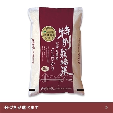 九重こしひかり５kg 特別栽培米 精米したてで分づきが選べる！「株式会社カネガエ」送料無料