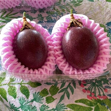 こだわりの完熟果実〔山形県産パッションフルーツ〕８００g【８月から順次発送】「株式会社ハンドレッドベリーズ」