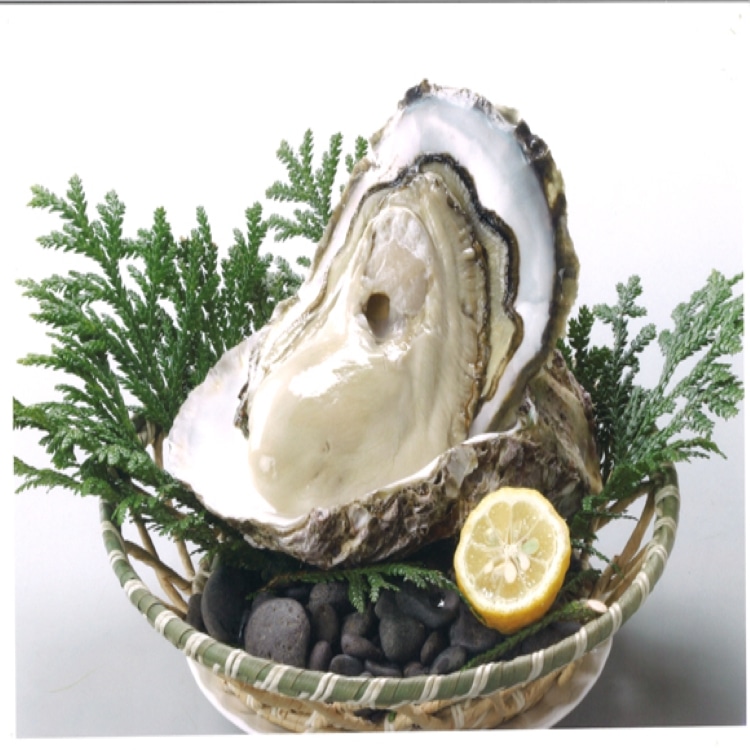 隠岐いわがきLLサイズ(350g～399g) 12個セット(4.2㎏～4.7㎏)