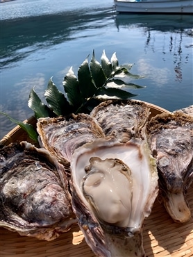 隠岐いわがきLサイズ(300g～349g) 12個セット(3.6㎏～4.1㎏)「有限会社海士物産」