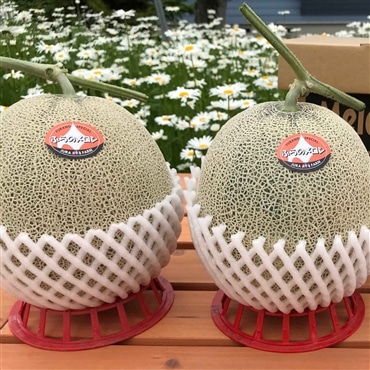 〔とろける甘さの夏ギフト！〕富良野メロン(赤肉)・2玉（大玉）各1.6-2.0kg「ジュラファーム富良野」
