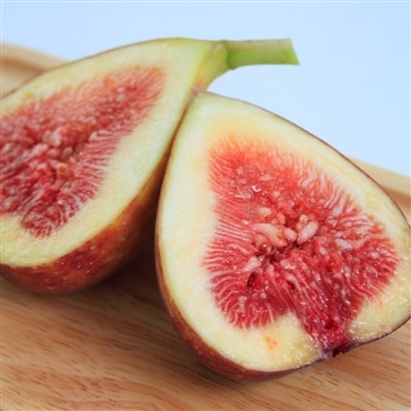 7月下旬より順次発送！皮ごと食べられるとろける甘さ！とよみつひめ約700g（9個or12個入）「いのうえ農園」