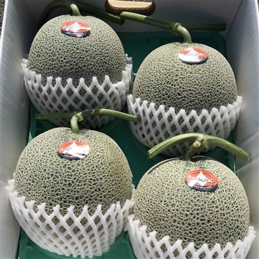 〔とろける甘さの夏ギフト！〕富良野メロン(赤肉)・４玉か５玉（大箱）計約８kg「ジュラファーム富良野」