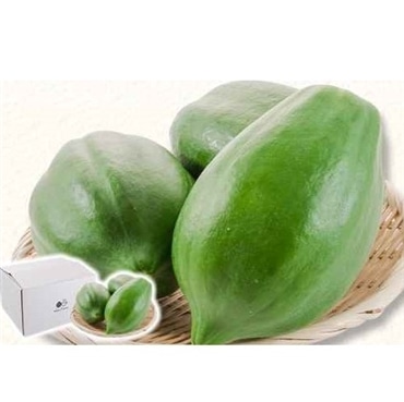 ８月上旬より順次発送！パパイア王子の〔新富グリーンパパイア1kg&酵素シロップ〕絶品＆万能ドリンクで内側から美しく「パパイア王子」