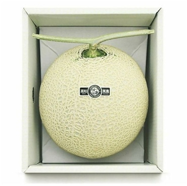 1.6kg以上 マスクメロン1玉箱入り《良品》【一果相伝】「株式会社篤農」