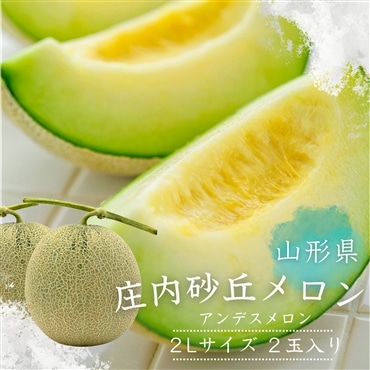 2Lサイズ2玉入り 山形県庄内砂丘メロン 瑞々しく香り高い！【予約商品 7月より順次発送】「みちのくギフト」