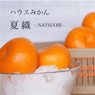 夏においしい極上みかん「夏織」1.3kg 〔海と空と、みかん〕大場農園のハウスみかん　【7月お届け】