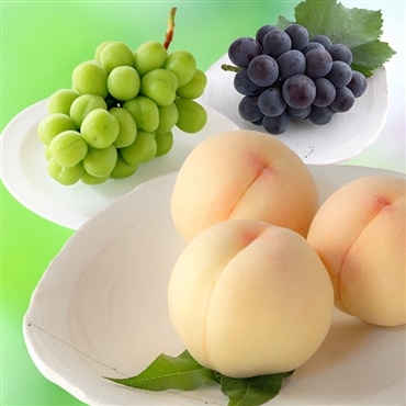 〔超特級〕詰め合わせ：岡山白桃 3玉 (約1kg) ・シャインマスカット 1房 (約0.65kg) ・ピオーネ 1房 (約0.65kg)「桃茂実苑(ともみえん)」