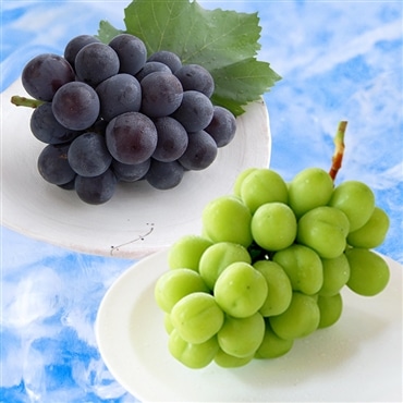 詰め合わせ:岡山産極上シャインマスカット1房(約0.65kg）ピオーネ1房 (約0.65kg)〔超特級〕「桃茂実苑(ともみえん)」