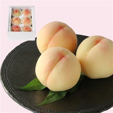 岡山白桃 6玉 約1.5キロ《特級 光センサー厳選》「桃茂実苑(ともみえん)」