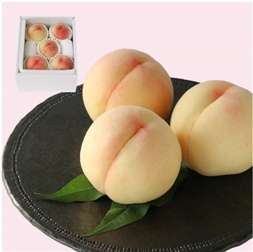 岡山白桃 5玉 約1.5キロ《超特級 光センサー厳選》「桃茂実苑(ともみえん)」